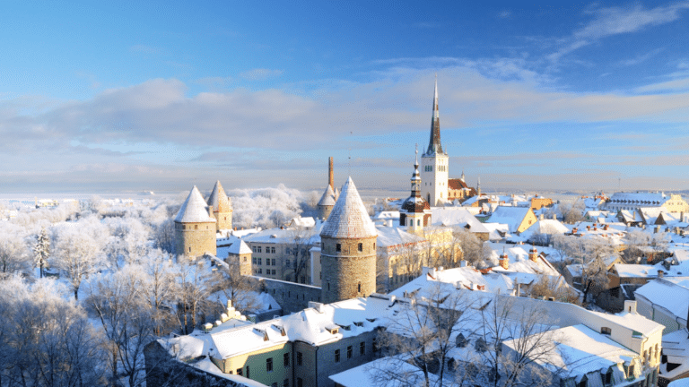 Nomadas digitales en Estonia